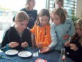 /album/fotogalerie-archiv-2002-2015/belgie-koralky-9006-jpg/